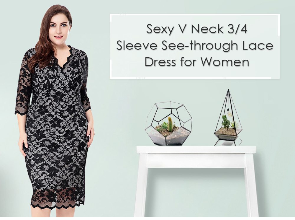 Sexy V Neck 3/4 Sleeve See-through Lace Plus Size Women Dress