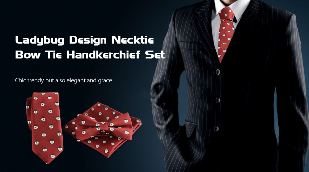 Ladybug Print Necktie Cravat Bow Tie Handkerchief Set Wedding Party Accessories
