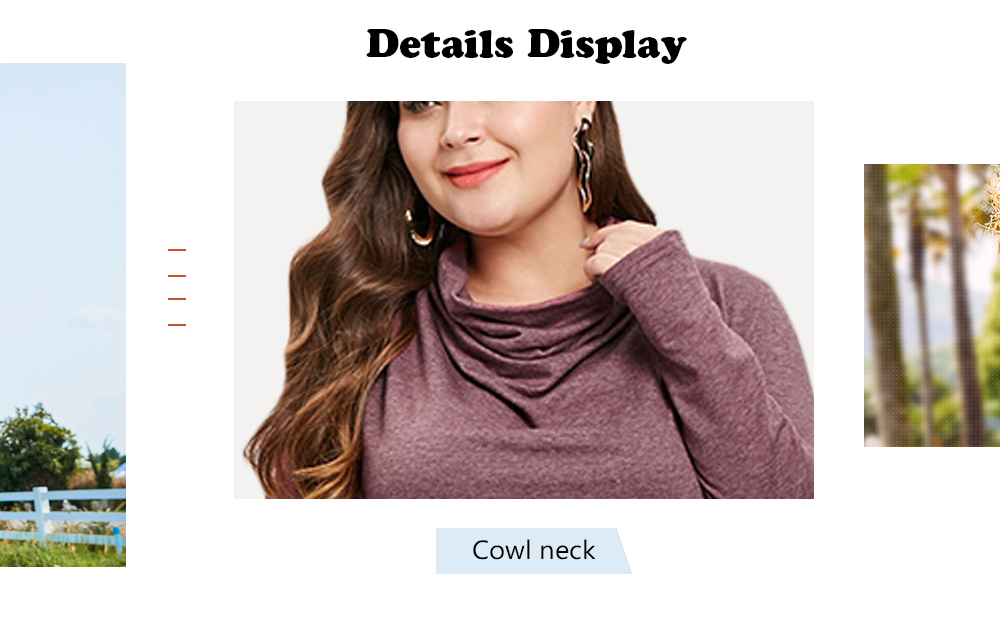 Plus Size Cowl Neck Long Sleeve Dress