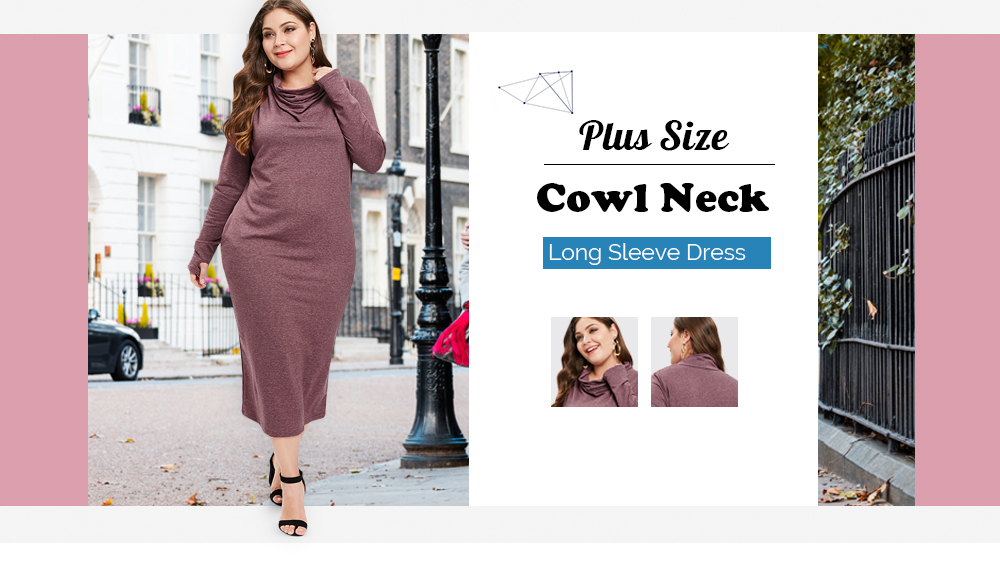 Plus Size Cowl Neck Long Sleeve Dress