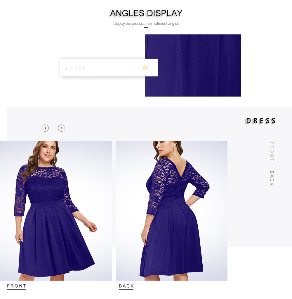 Plus Size Round Neck Lace Panel A Line Dress