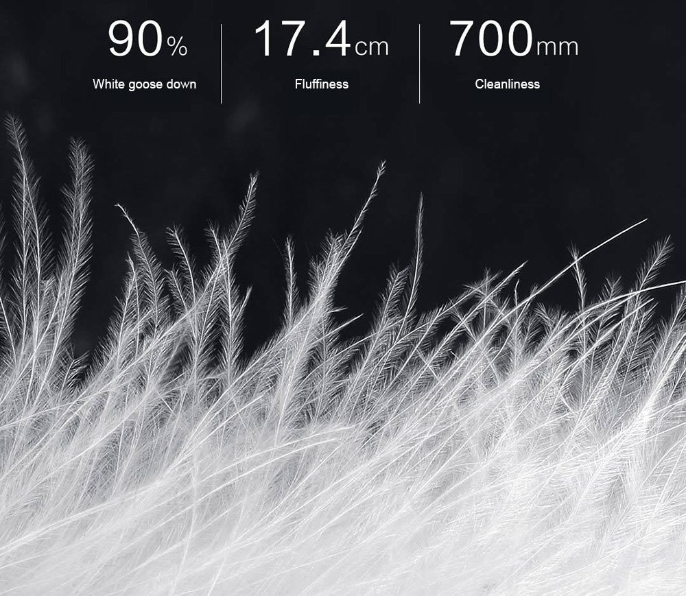 Men Three-in-one Goose Down Jacket from Xiaomi Youpin