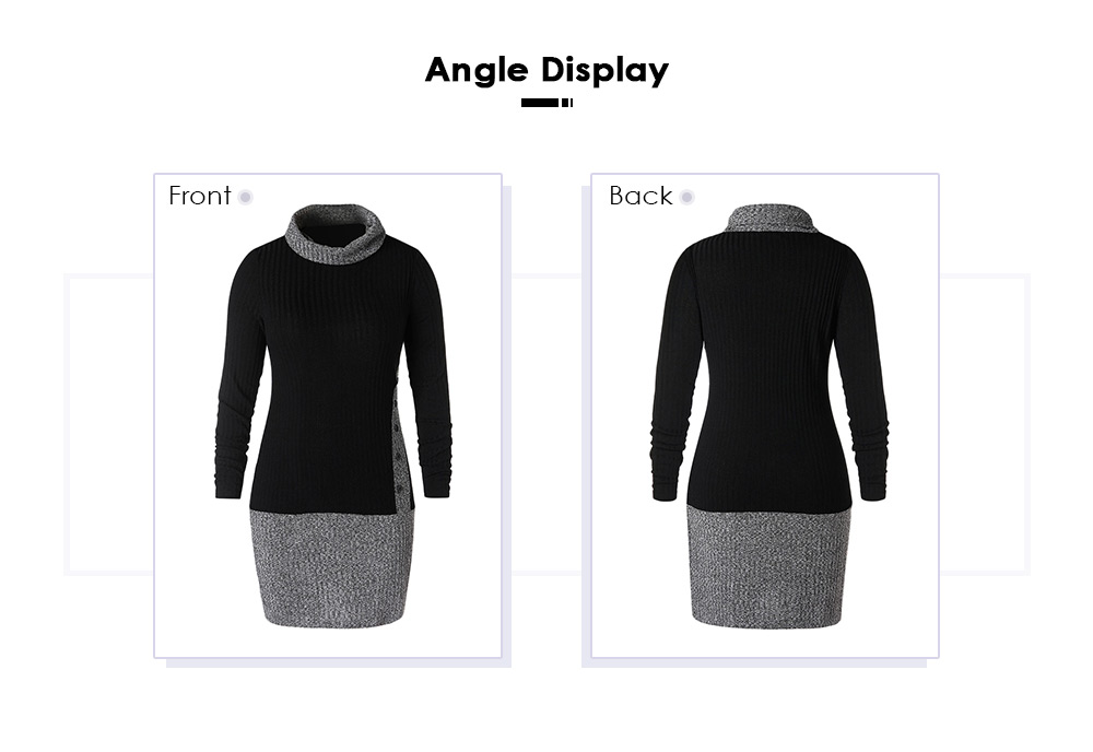 Plus Size Turtleneck Two Tone Bodycon Dress