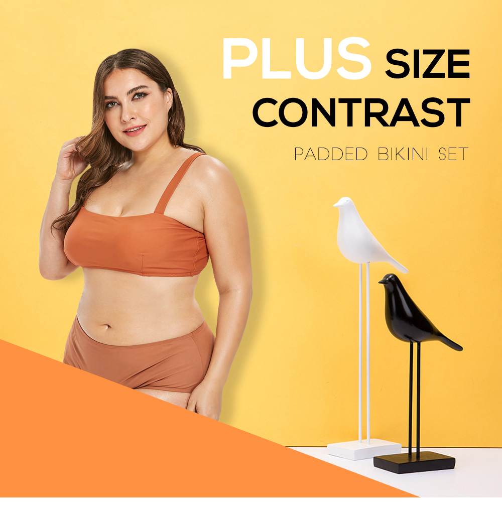 Plus Size Contrast Bikini Set