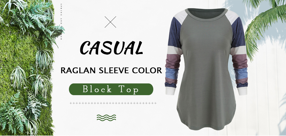 Raglan Sleeve Color Block Top