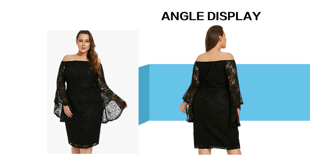 Plus Size Off The Shoulder Bodycon Lace Dress